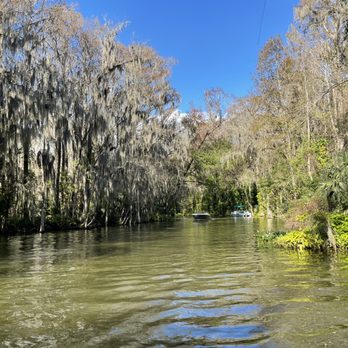 Premier Boat Tours - Boat Tours Near Me - Mount Dora, Florida Premier Boat Tours - Boat Tours Near Me - Mount Dora, Florida