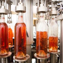 Bridgeview Vineyards Winery - Bridgeview Winery is where all the magic happens! We do all the production, processing, and bottling right here in Cave Junction!