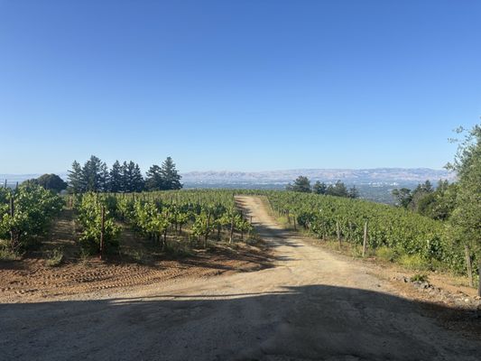 Domaine Eden by null