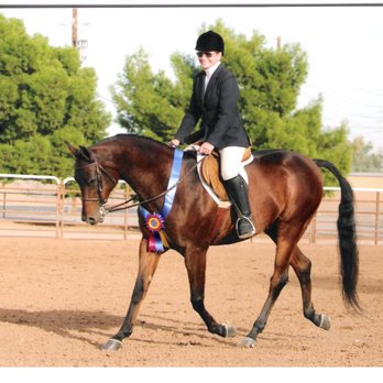 B Bar J Equestrian Training Centre - B Bar J offers Hunter lessons and training in addition to a variety of Western discipline lessons. - Horse Boarding Near Me - Las Vegas, Nevada B Bar J Equestrian Training Centre - B Bar J offers Hunter lessons and training in addition to a variety of Western discipline lessons. - Horse Boarding Near Me - Las Vegas, Nevada