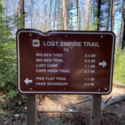 Fall Creek - Henry Cowell Redwoods State Park - 8/23 a rare marker