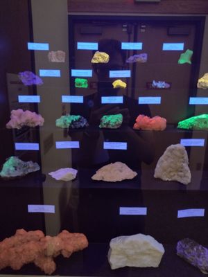 World Museum of Natural History by null