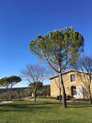 Az. Agr. Podere Brizio by null
