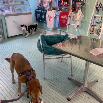 Salty Paws - Pet Stores Near Me - Philadelphia, Pennsylvania