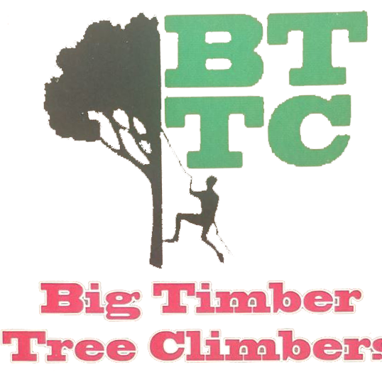 Big Timber Tree Climbers - tree service in Santa Fe, NM