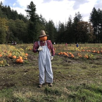Pomeroy Farm - The perfect patch - Venues & Event Spaces Near Me - Yacolt, Washington Pomeroy Farm - The perfect patch - Venues & Event Spaces Near Me - Yacolt, Washington