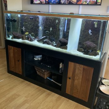 Affordable Aquarium Services - Aquarium Services Near Me Affordable Aquarium Services - Aquarium Services Near Me