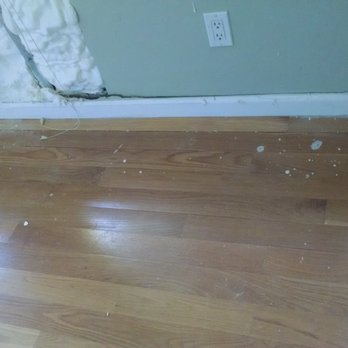 Foam Insulation Solution - Insulation Installation Near Me - Brooklyn, New York Foam Insulation Solution - Insulation Installation Near Me - Brooklyn, New York