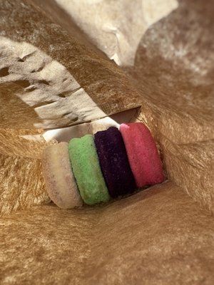 House of Silvanas by null