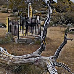 Vipers Paranormal Investigations