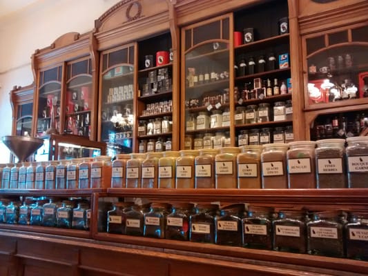 El Gato Negro by null