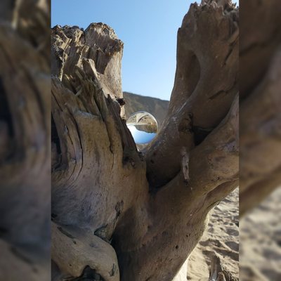 Sunset State Beach by null