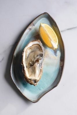 Skipjack Oyster by null