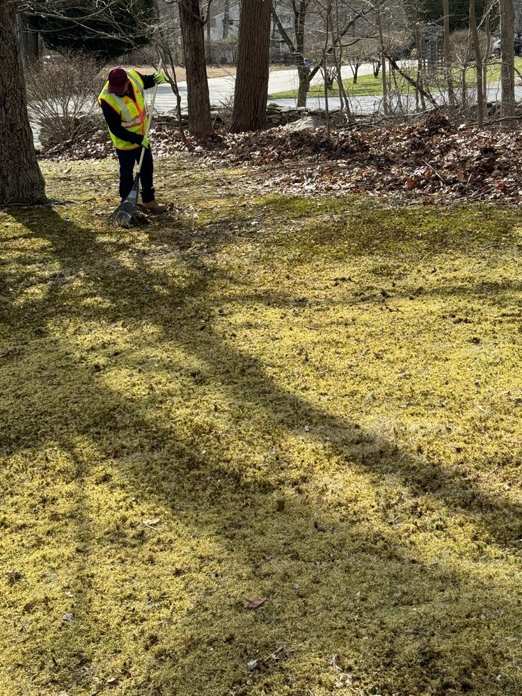 DOMINGO GREEN LEAF LAWN CARE Updated June 2024 Request a Quote