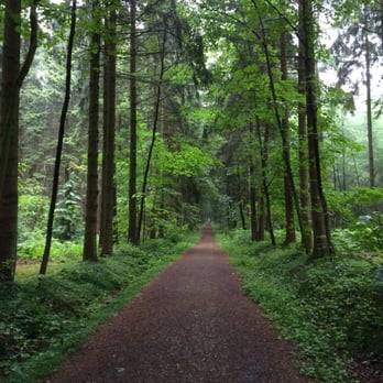 Auberge de Poteaupre - walk in the forest just close to the restaurant. - Gastropubs Near Me - Bourlers, WHT