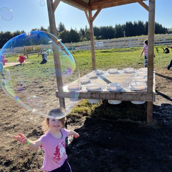 Rutledge Corn Maze - Attraction Farms Near Me - Olympia, Washington