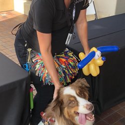 Barks & Brews