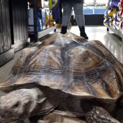 Marine Land Pet Store