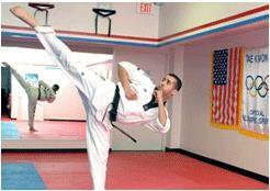 International Martial Arts Logo