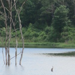 Flat Creek Public Fishing Area