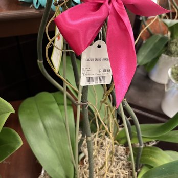 Safeway - Cost of orchids - Grocery Near Me - Pleasant Hill, California
