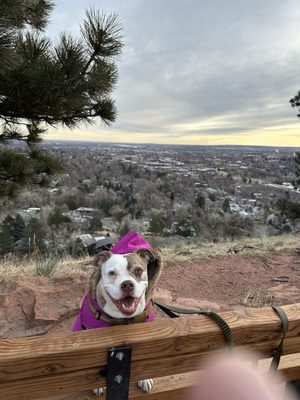 Magic City Cannabis by null