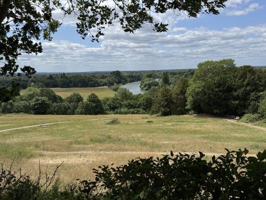 Richmond Park by null