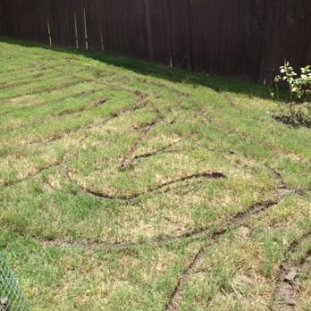 The Grass Guy Lawn Services - Lawn damage caused by The Grass Guy Lawn Service - Lawn Services Near Me The Grass Guy Lawn Services - Lawn damage caused by The Grass Guy Lawn Service - Lawn Services Near Me