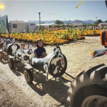 Uesugi Farms - Cow Train - Farmers Market Near Me - Gilroy, California Uesugi Farms - Cow Train - Farmers Market Near Me - Gilroy, California