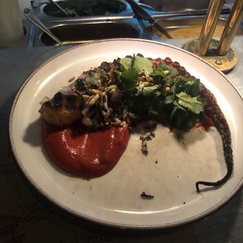 The Barbary - Khamara Octopus - Middle Eastern Near Me - London, XGL The Barbary - Khamara Octopus - Middle Eastern Near Me - London, XGL