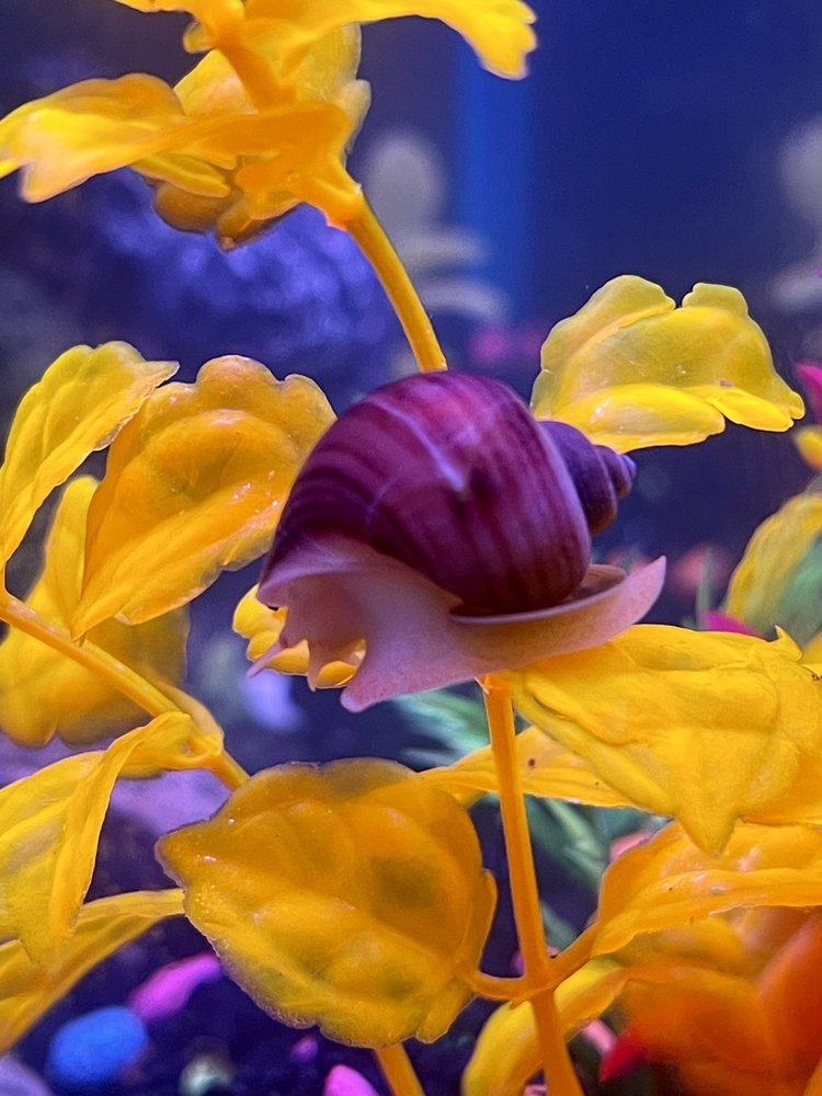 CONSOLIDATED FISH FARMS Updated September 2024 32 Photos 10523