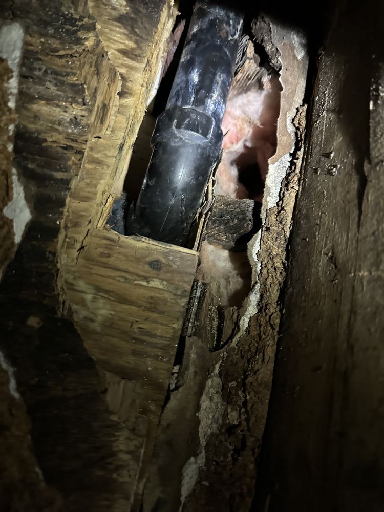 Slide of Chris The Plumber