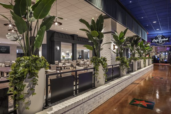 Café Central by null