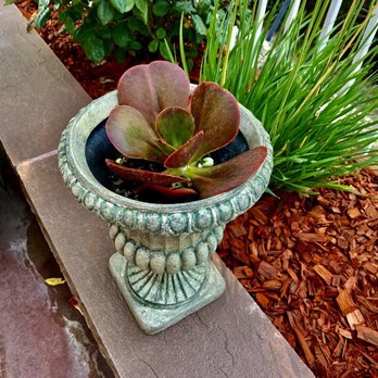 Nature's Gardeners - Landscaping Near Me Nature's Gardeners - Landscaping Near Me