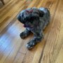 Photo of The Pawlour