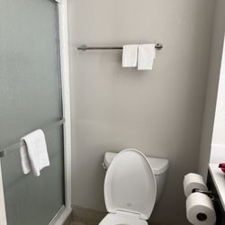 Holiday Inn Express & Suites Jackson Northeast - Complement of towels... for ants?...