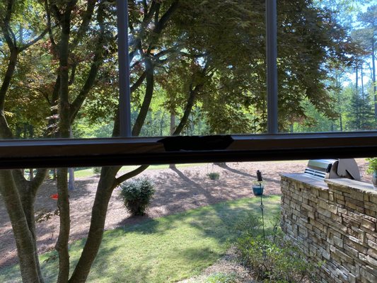 Andersen Windows by null