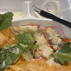 Southern Salad & Sandwich - An empty half of chicken Caesar wrap with barely any chicken and lettuce filler. This was taken before eating.
