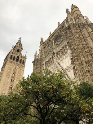 La Giralda by null