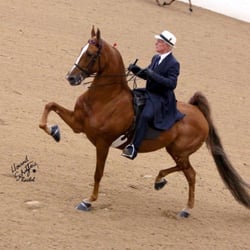 Morris Stables