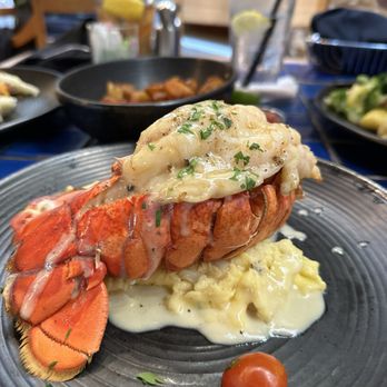 Cappy's Restaurant - Out of this world good! HOMARD truffled scrambled eggs, lump crab, butter-poached cold water lobster tail - New American Near Me - San Antonio, Texas Cappy's Restaurant - Out of this world good! HOMARD truffled scrambled eggs, lump crab, butter-poached cold water lobster tail - New American Near Me - San Antonio, Texas