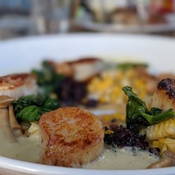 user provided Rose Tavern photo