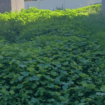 GreenFlex Landscaping  - Lawn Services Near Me
