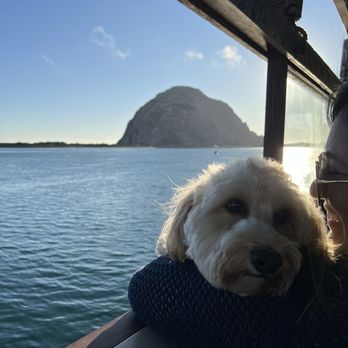 Lost Isle Adventures - Boat Tours Near Me - Morro Bay, California