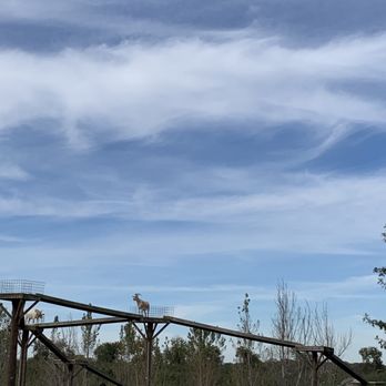 Homestead Farm - Fruits & Veggies Near Me - Poolesville, Maryland