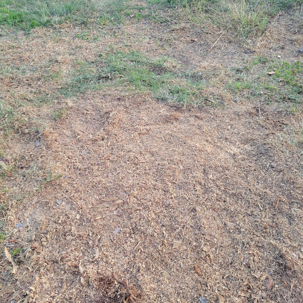 Valley Tree Care - Tree Services Near Me - Phoenix, Arizona Valley Tree Care - Tree Services Near Me - Phoenix, Arizona