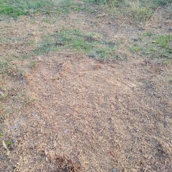 Valley Tree Care - Tree Services Near Me - Phoenix, Arizona