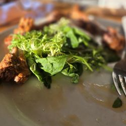 Aspen Perk Cafe - Duck wings