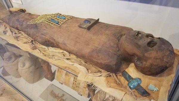 Gustavianum - Uppsala University Museum by null