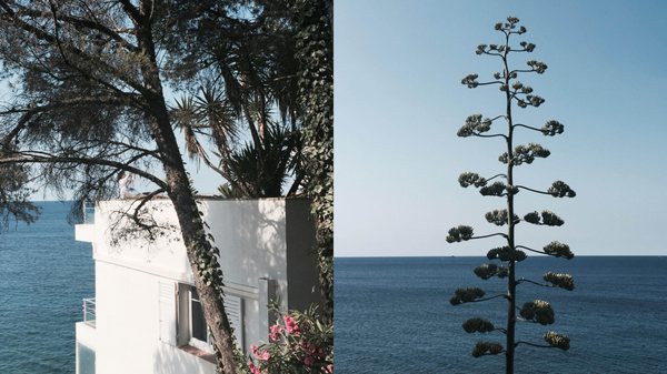 Les Roches Rouges, Saint Raphaël, a Beaumier hotel by null